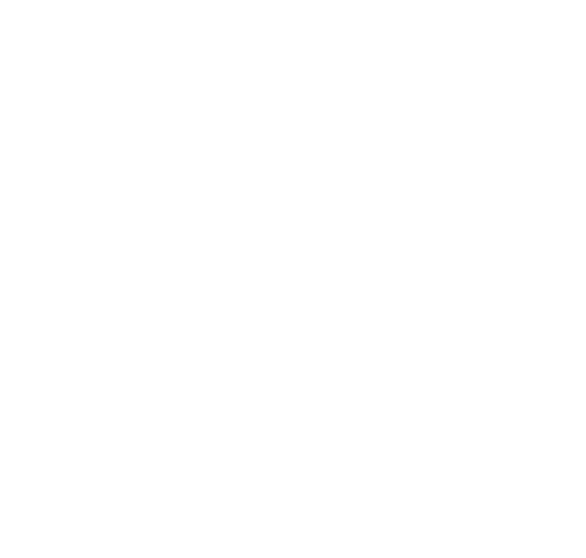Alternate Text